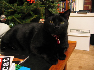 Grendel in 2005