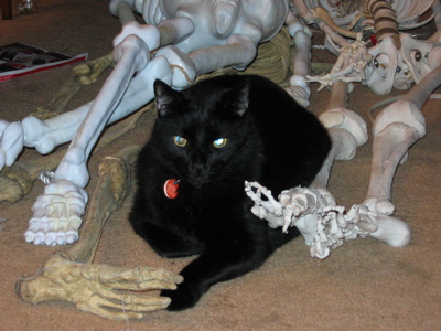 Grendel in 2007