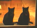 Loki and Grendel